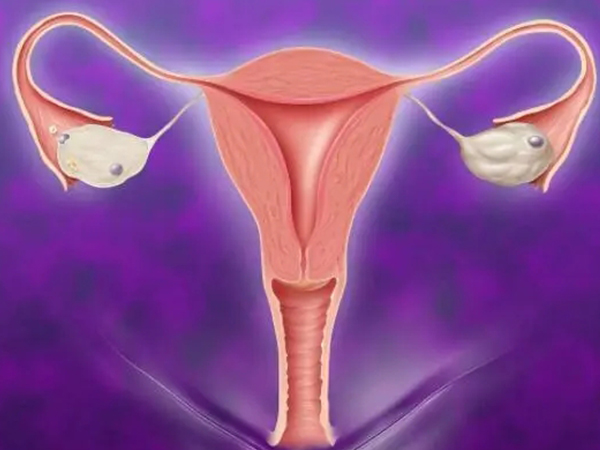 子宫前位和后位B超对比图分享，两者区别大真的很好区分