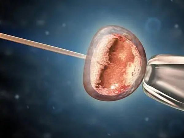 试管取卵后移植前检查工作要做好，这4个项目缺一不可