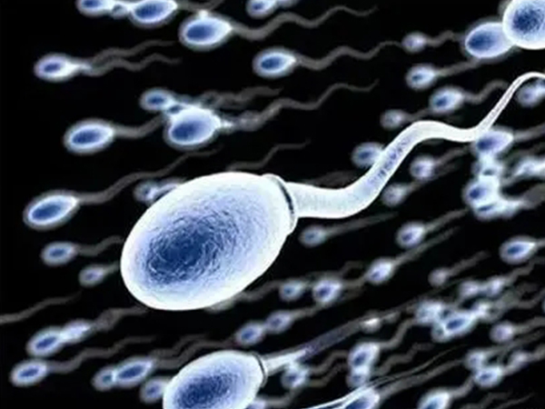 看懂精子dna完整性检测报告不难，一张图对比指标是否正常