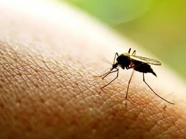 网上预约打黄热疫苗并不难，找准接种点才是重中之重