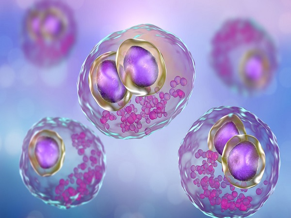 3种天然促排卵食物分享，常吃黑豆促进卵泡发育真不难