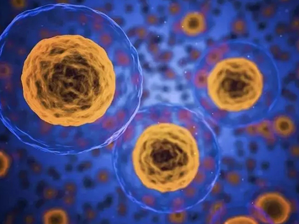 盘点女人身上的10大福痣位置，胸部有痣一生富贵不用愁