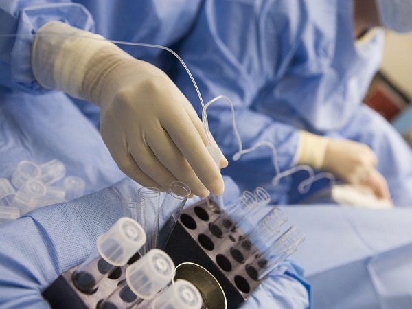 试管移植后14天内食谱分享，吃什么菜有助着床看这里