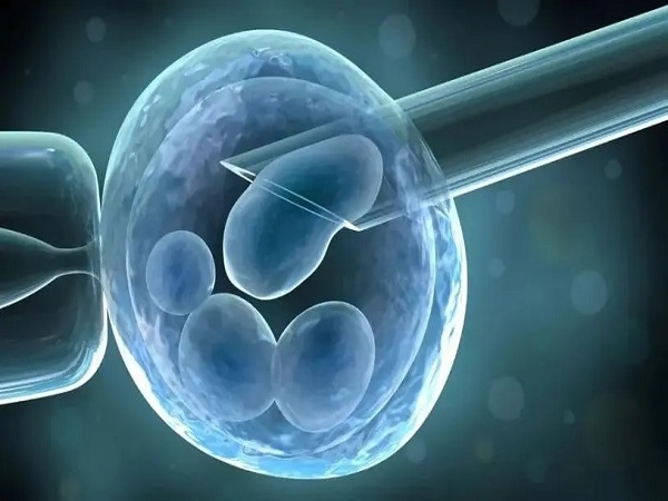 试管婴儿放2个胚胎的成活率分析，放二个不如一个别不信