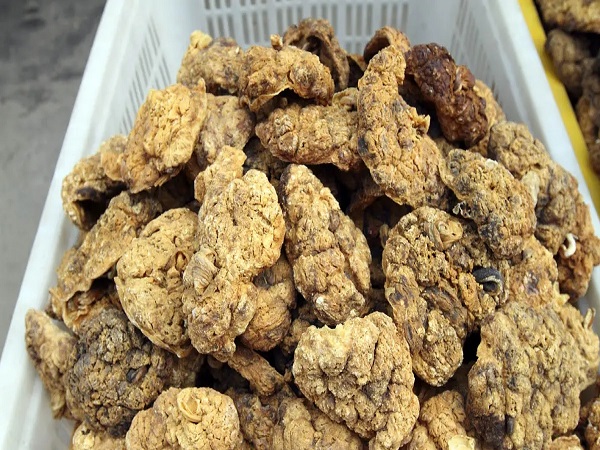 网传紫河车胶囊骗局是真是假？哪些人不能吃你一定要知道