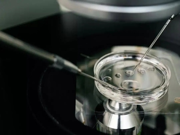 试管移植前做宫腔镜的好处整理，是否能促进着床看完就知