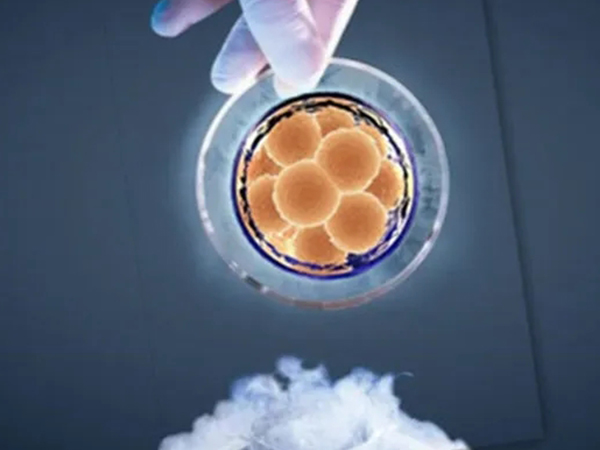 桑椹胚和囊胚的区别真不大，哪个更好看成功率就一目了然