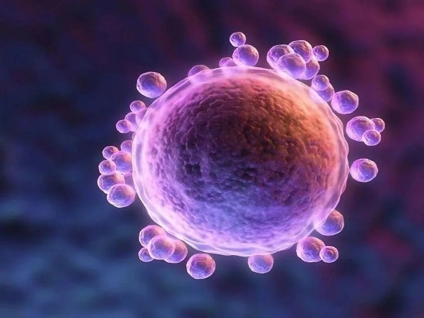 试管促排空泡多的4大原因已找到，方案不对是罪魁祸首