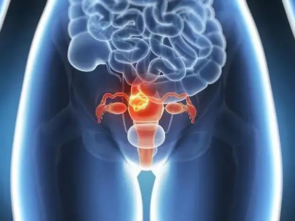 一文讲解输卵管上举的受孕技巧，同房采取这些姿势好怀孕