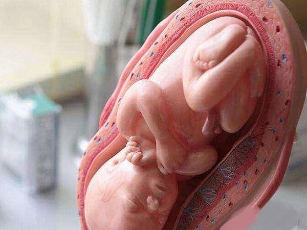 孕妇深入盆和浅入盆对比图片分享，肚型变化大很好区分