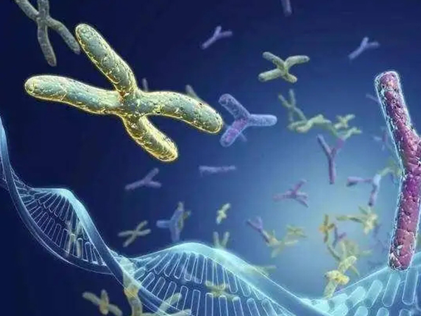 女性染色体中这五种异常会导致不孕，前两种很常见要警惕