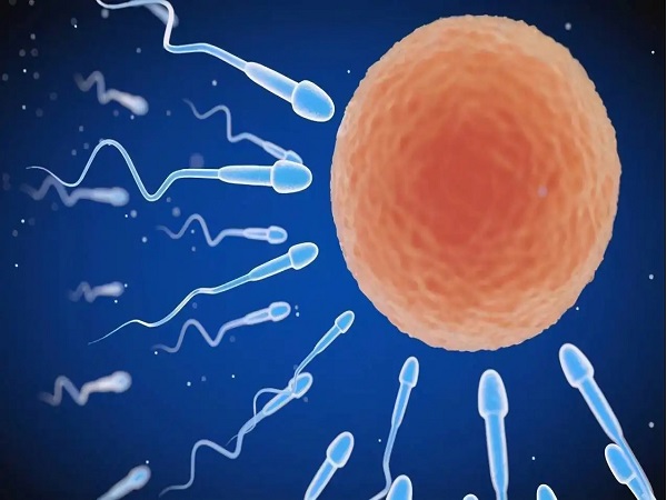 人工受孕第七天成功的5大征兆汇总，白带增多就要恭喜了