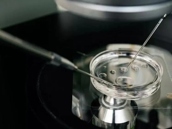 解读美国冷冻卵子费用细节：一次花费多少钱看这里就知道