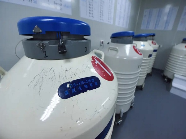 美国加州精子库买精子详细过程：挑选精子银行只是第一步