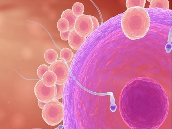 48岁备孕提高卵子质量的方法分享，除运动外这些也有效