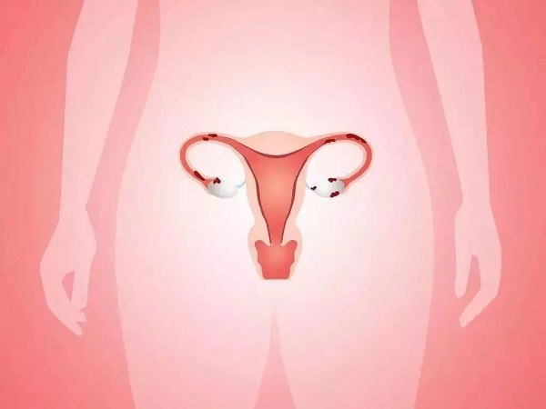 揭晓内膜三线征和排卵的关系，卵泡多大会出现看完便知