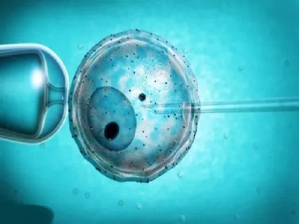 高龄试管生子的成功例子分享：做好这些准备怀孕不是梦