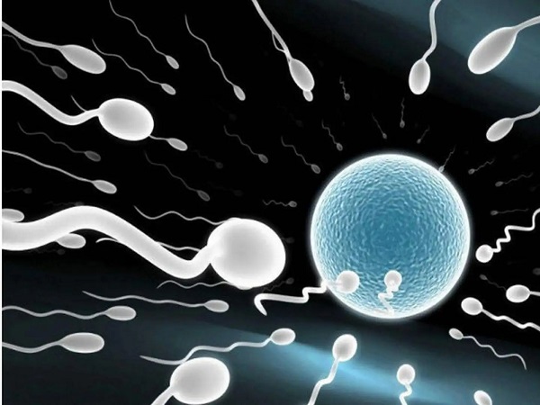 这四种不良行为会导致着床失败，精神紧张也会“惹祸”要重视