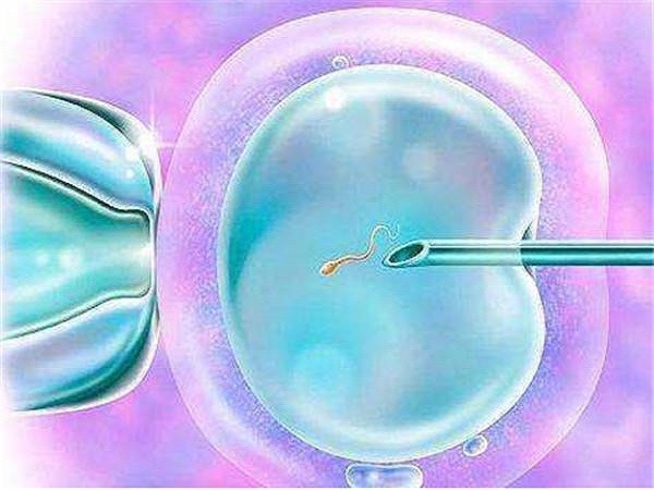 攻略贴：试管婴儿art方案是什么意思？三分钟带你轻松看懂