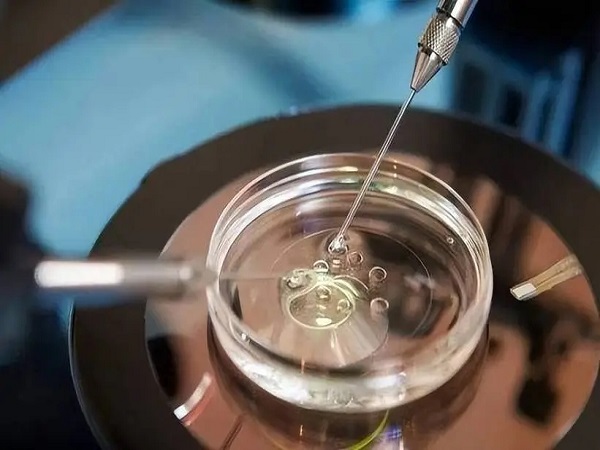 试管移植两个鲜胚怀双胎的几率分析，有多大看这里就知道