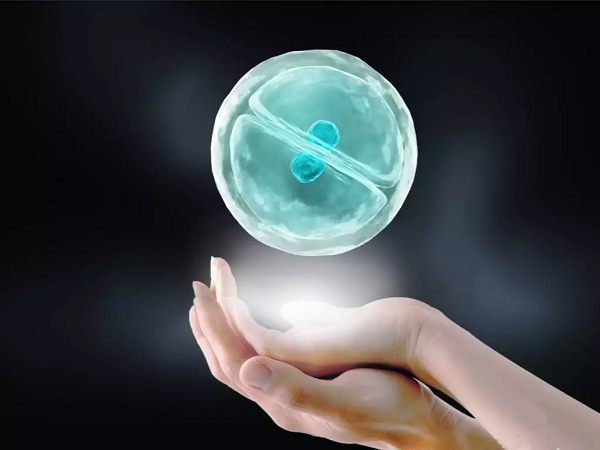 试管移植冻胚HRT方案攻略：详细流程、成功率这里都有