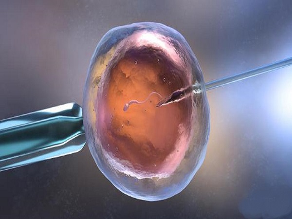 细说试管婴儿seet薄膜移植法：优势、适应人群一文读懂