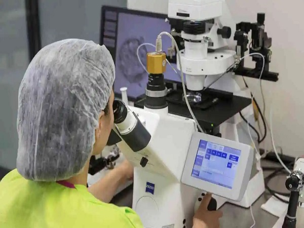 试管移植一个冻胚的成功经验分享，掌握这些秘诀才是关键