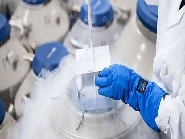 国内胚胎解冻费用真不贵，一次花费多少钱看这里就知道