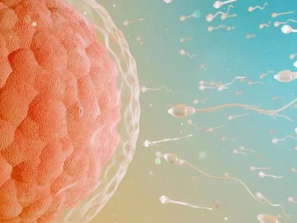 男性精子报告正常参考值分享，一图教你正确解读各项指标