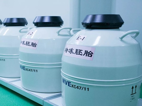 揭晓冻胚解冻后升级变桑葚胚胎几率，胚胎质量高低很关键