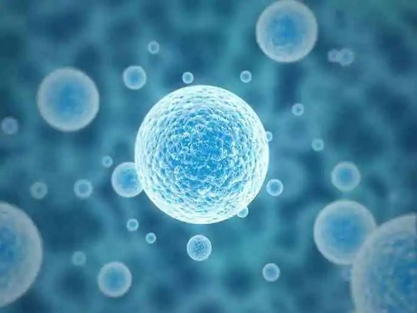 试管不着床与生化有区别，从这几个方面告诉你哪个更可怕