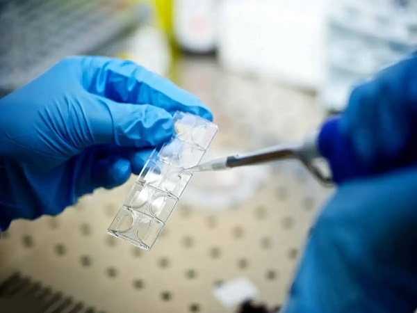 移植后前三天正确睡姿图片分享，除平躺外这些也有助着床