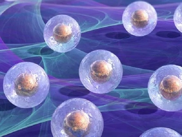 卵子少做试管婴儿成功经验分享，选对方案才能提高成功率