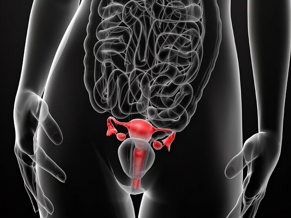 移植前改善内膜血流小窍门汇总，不止是中医泡脚那么简单