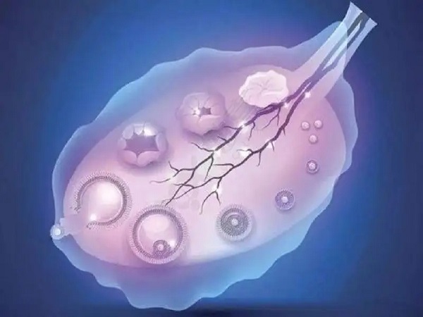 促排四次不成功真没必要继续，直接选择试管好孕才会到来
