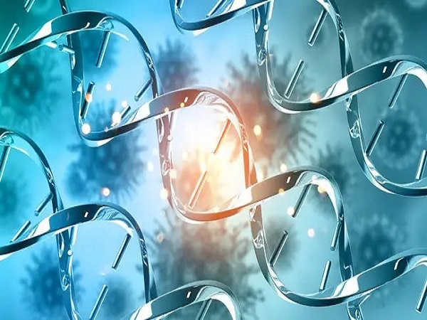 带你解读染色体微阵列分析报告单，结果为阴性代表正常