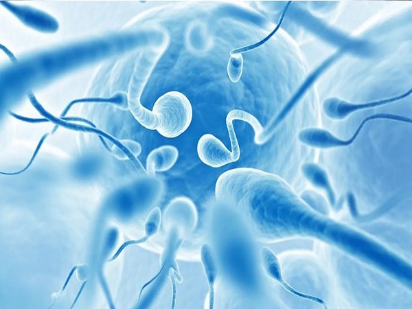 睾丸穿刺取精做试管的费用分享，穿刺术仅需几千元真不贵