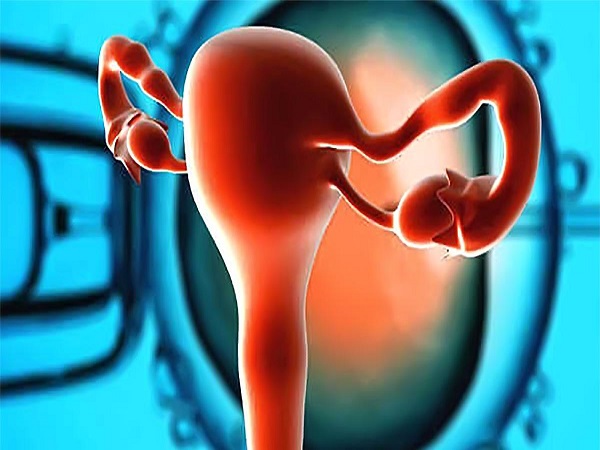 含天然黄体酮多的食物一览表，这5种水果千万别错过！