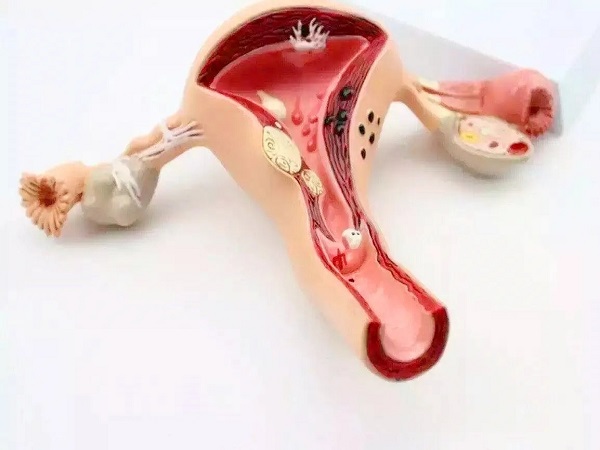 试管移植前内膜转化成功的标准分享，光是厚度达标还不够