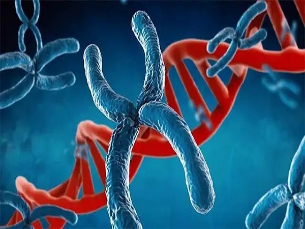 22号染色体三体胎停的原因汇总，和父母谁有关一看便知