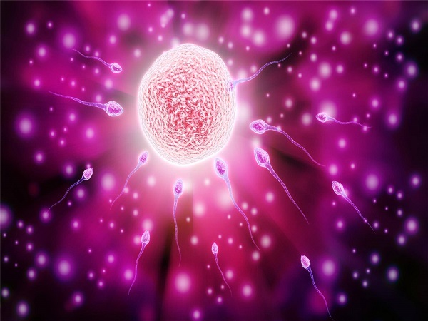 45岁做试管的女性直言太痛苦！这些亲身经历做前都看看