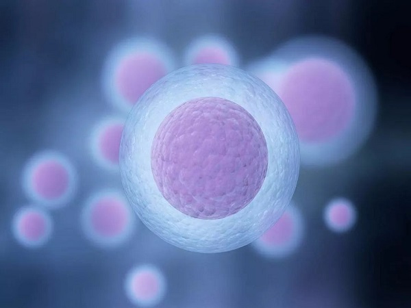 只取了5个卵泡也能做三代试管，卵子质量好仍有希望成功