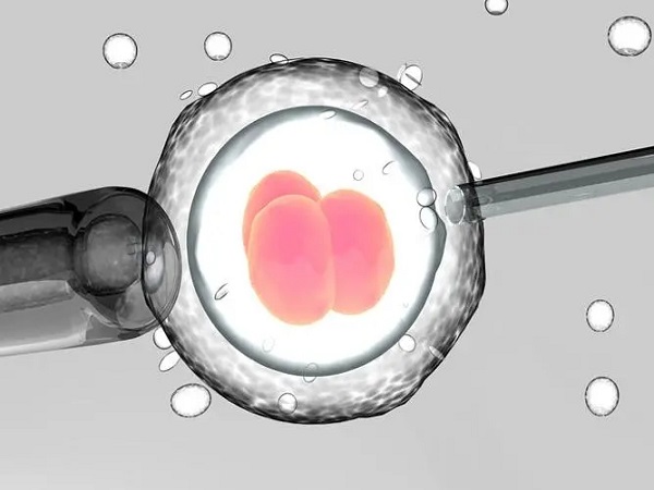 三代试管囊胚筛查异常不能移植，影响成功率真不是闹着玩