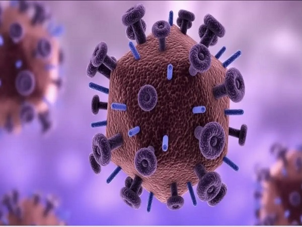 网传不要轻易做hpv和tct检查别相信，不定期做才会真的后悔