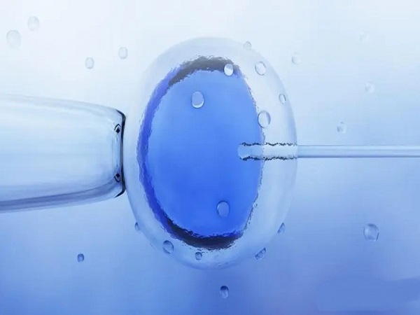 详细解读三代试管婴儿收费价目表，贵在哪里一次讲清楚