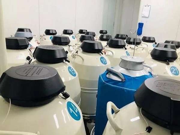 试管胚胎冷冻费和保存费有区别，从组成部分就可准确判断