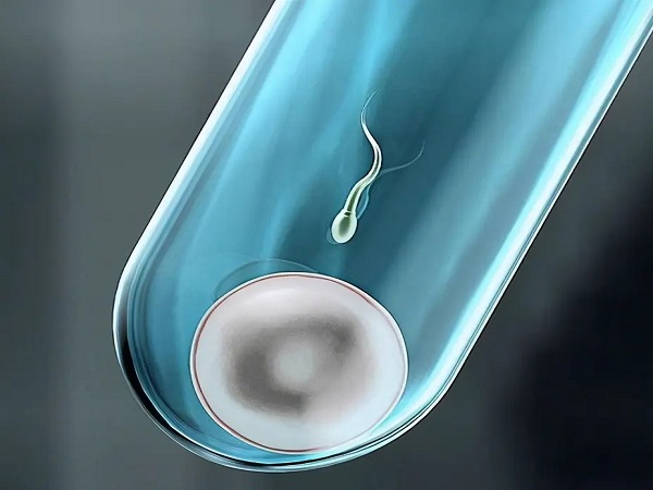 试管移植黄金48小时很关键，做好这些事项可提高成功率