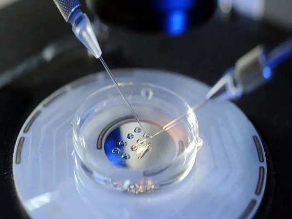 促排期间卵泡长得慢的原因分析，是不是质量不好一看便知