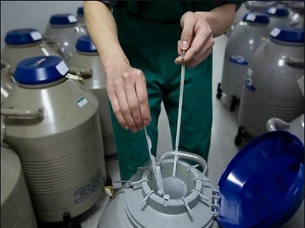 卵子储存和胚胎储存真不一样，看完这三大区别你就知道了