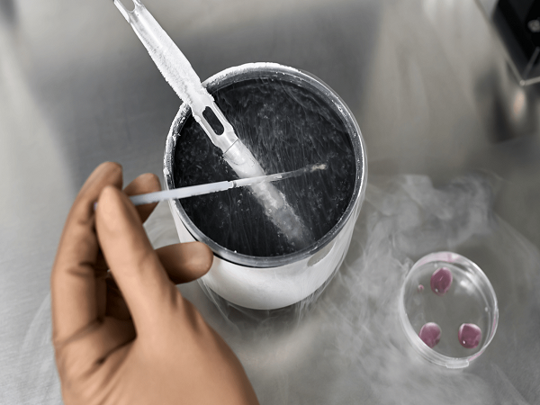 冷冻胚胎级别与标准一览，是不是质量好的才能冻看完便知